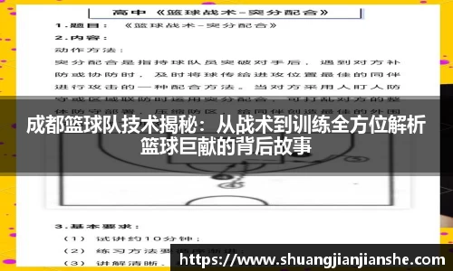 成都篮球队技术揭秘：从战术到训练全方位解析篮球巨献的背后故事